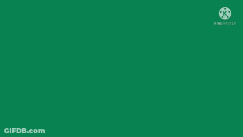 Flag With Star And Crossed Guns GIF