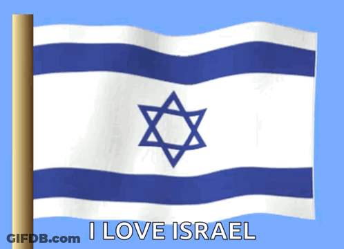 Flag With Star Of David I Love Israel GIF