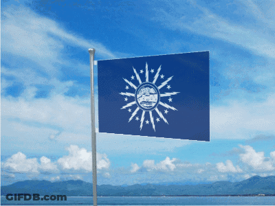 Flag With Sun And Stars GIF
