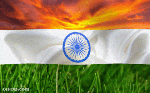 Flag With Sunset And Grass Field GIF