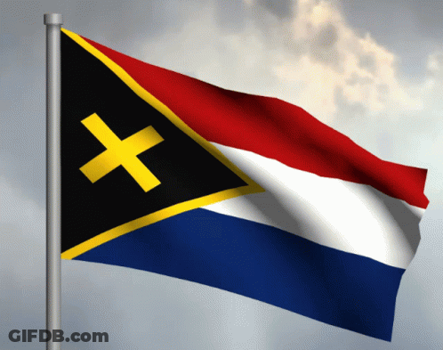 Flag With Yellow Cross GIF