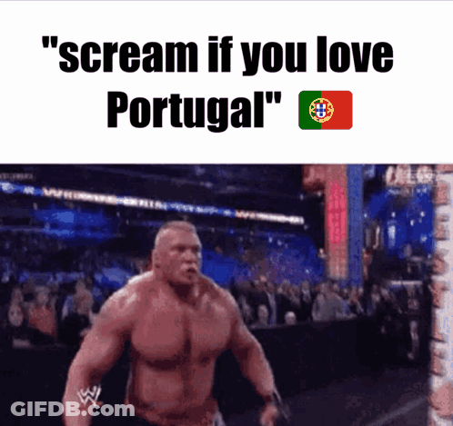 Flags And Word Portugal GIF