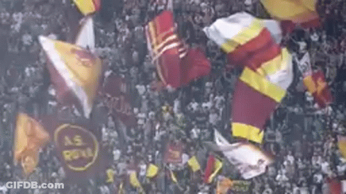 Flags Flying In Crowd GIF
