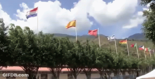 Flags Flying In Front Of Building GIF
