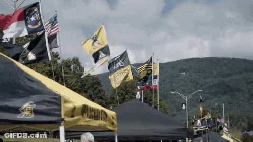 Flags Flying Including Virginia GIF