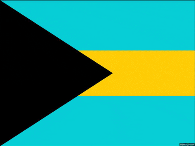 Flags Including Honduras GIF