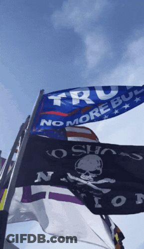 Flags Saying No More Bull Flying In Wind GIF
