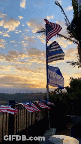 Flags With Trump Flying In Wind GIF