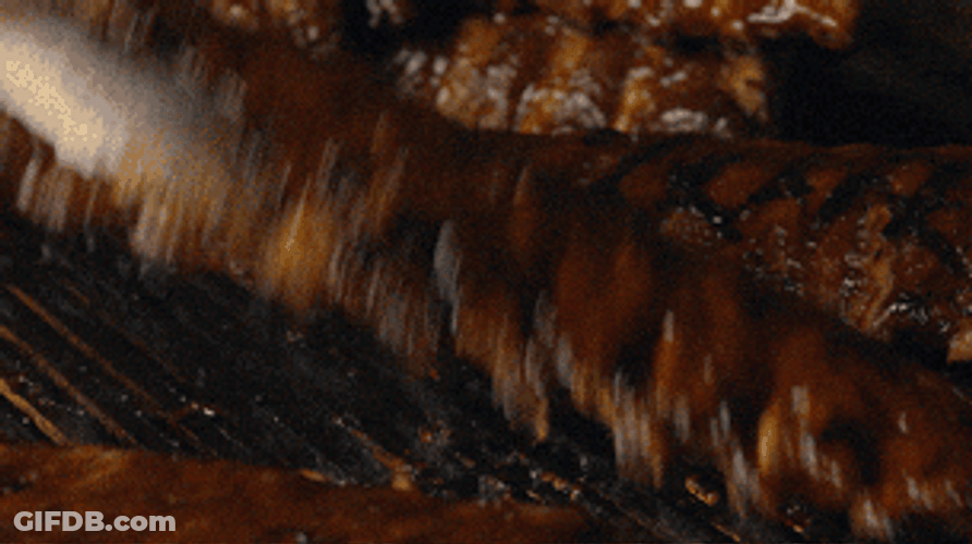 Flame Grilled Ribs GIF