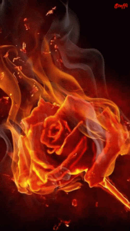 Flame Rose Trippy GIF