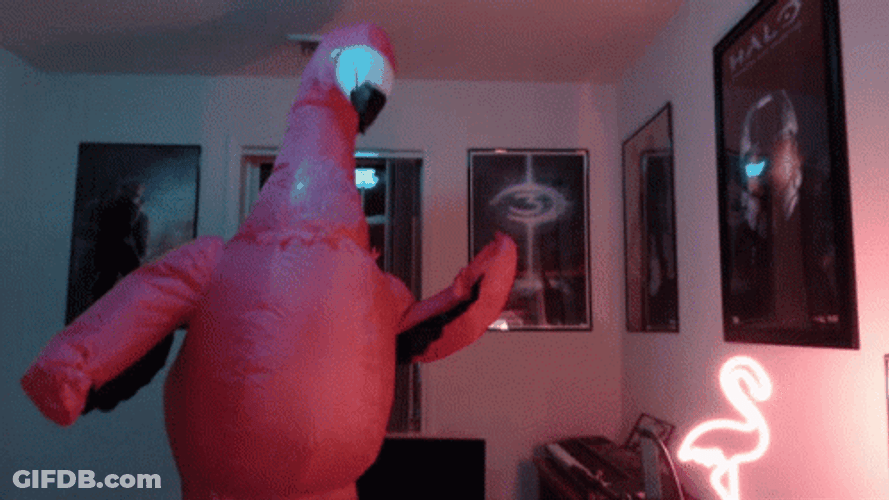 Flamingo Air Costume GIF