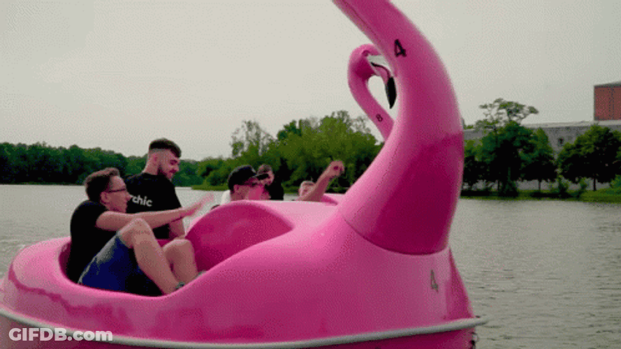 Flamingo Boats GIF