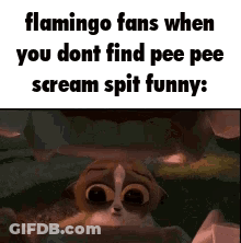 Flamingo Fans Not Finding Pee Pee Scream Funny GIF
