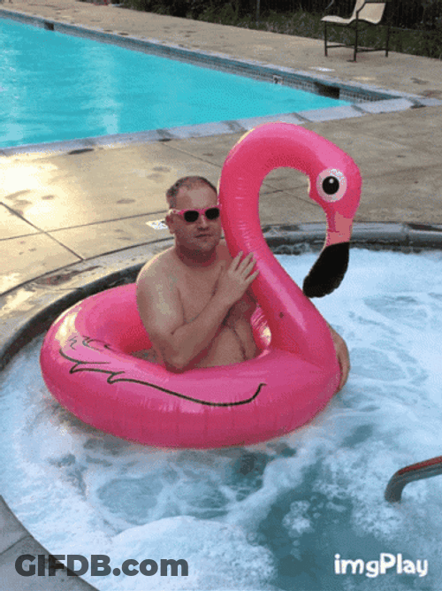 Flamingo Floaters GIF