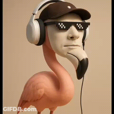 Flamingo With Headphones And Sunglasses With Man's Face GIF