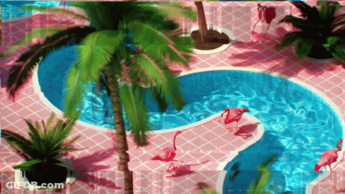 Flamingos Are Swimming In A Swimming Pool With Palm Trees GIF