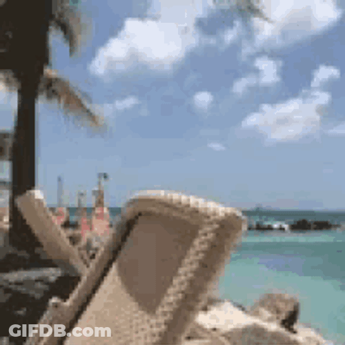 Flamingos Beach GIF