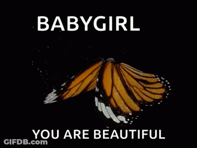 Flapping Cute Butterfly GIF