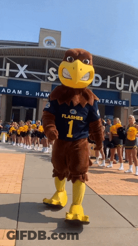 Flashes Mascot Standing In Front Of Stadium GIF