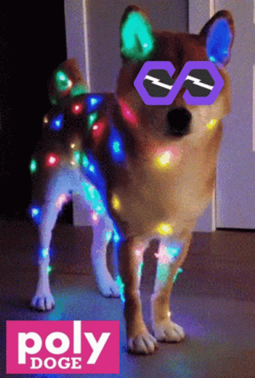 Flashing Lights Dog Sunglasses GIF