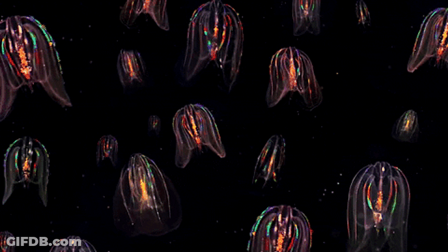 Flashing Lights Rainbow Colors GIF
