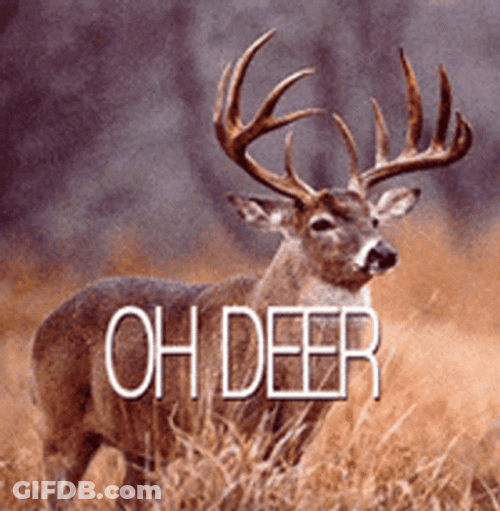 Flashing Oh Deer Text GIF