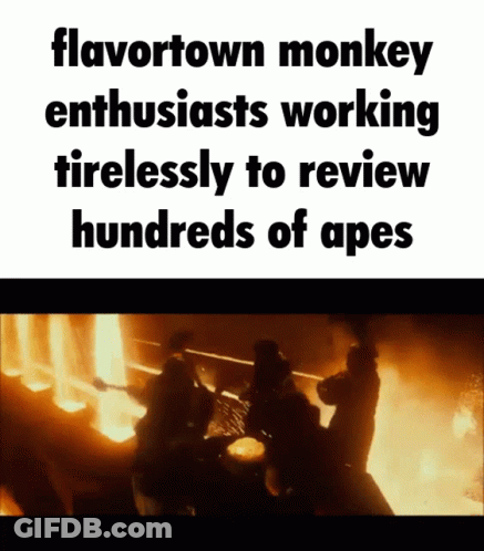 Flavortown Monkey Enthusiast Reviewing Hundreds Of Apes GIF