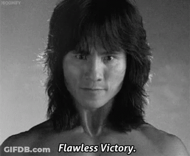 Flawless Victory GIF