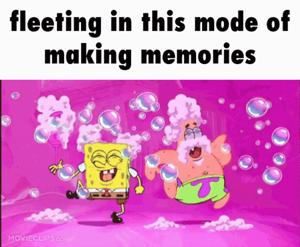 Fleeting Mode Of Making Memories GIF