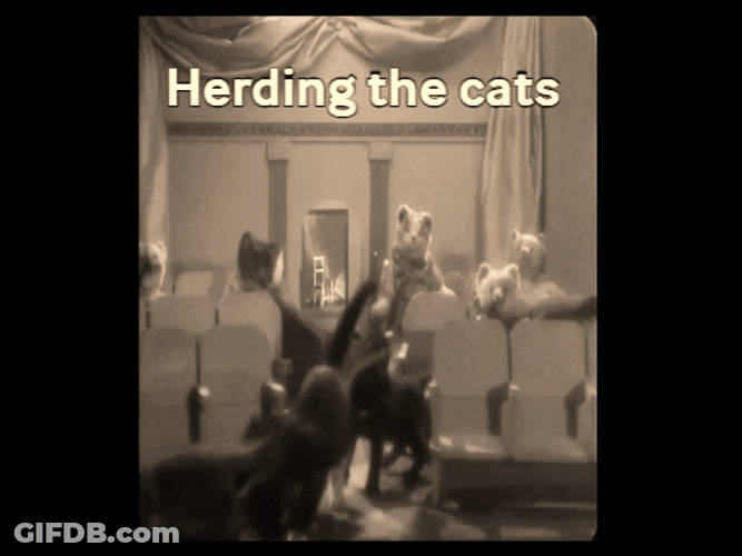 Fleischer Studios Vintage Theater Herding The Cats GIF