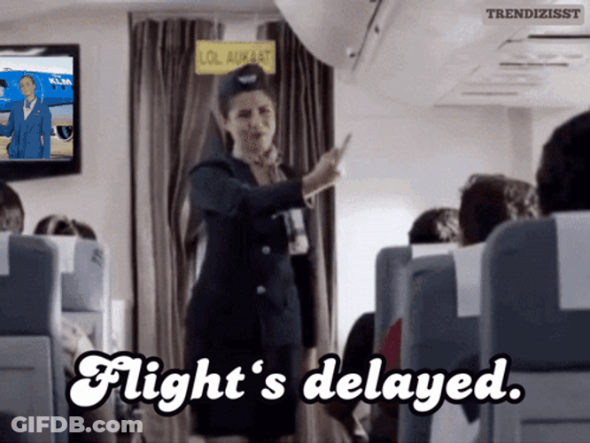 Flight Attendant Announceing Flight Is Delay GIF