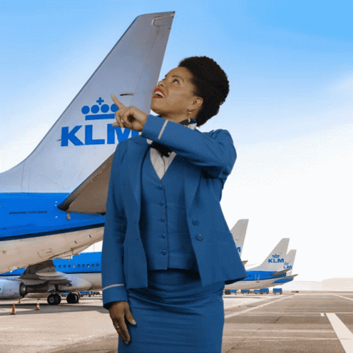 Flight Attendant Imagining Plane Flying So Funny GIF