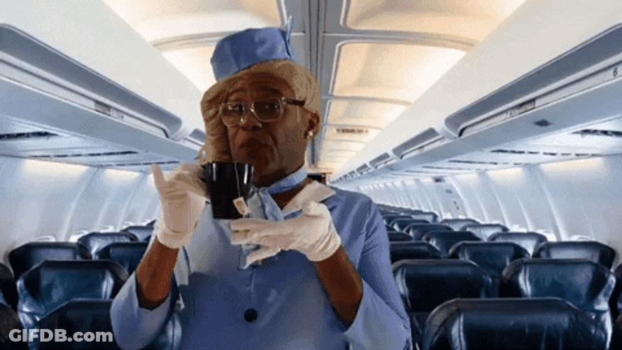 Flight Attendant Sips Tea GIF