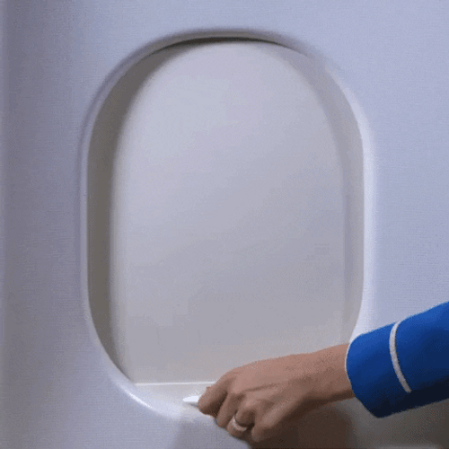 Flight Attendant Travel GIF