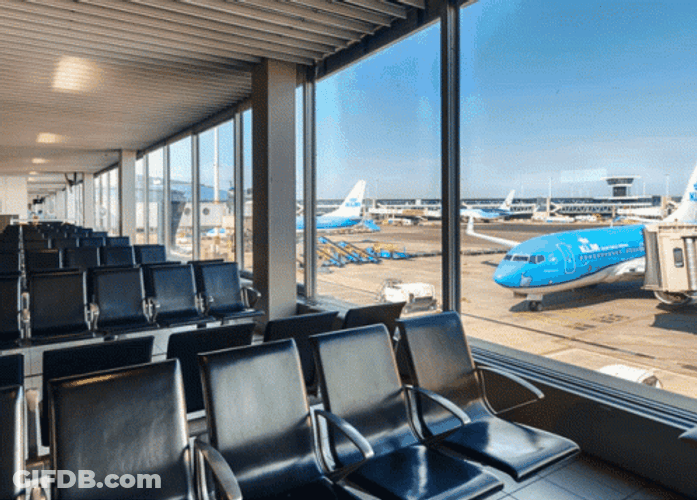 Flight Attendants Mimic Airplane Inside Airport GIF