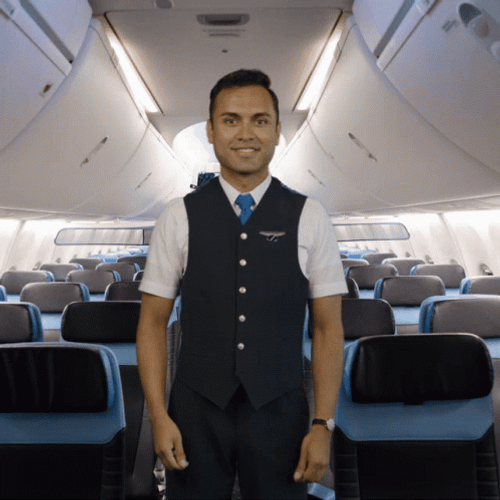Flight Crew Plane Thumbs Up GIF