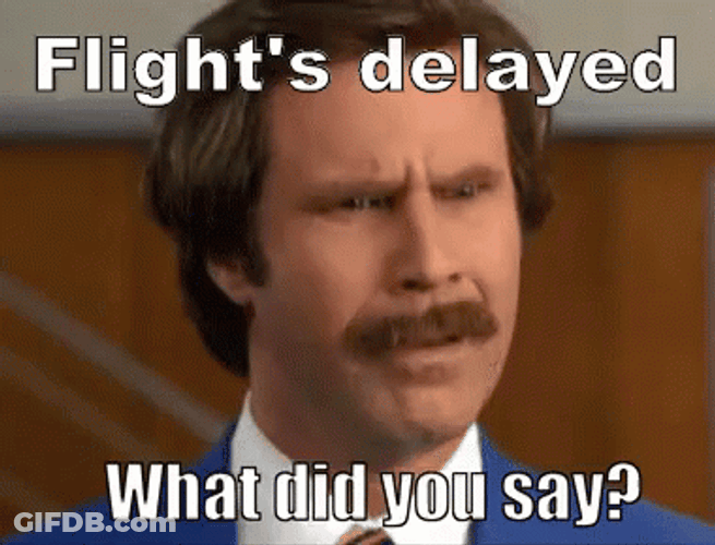 Flight's Delay Will Ferrell GIF
