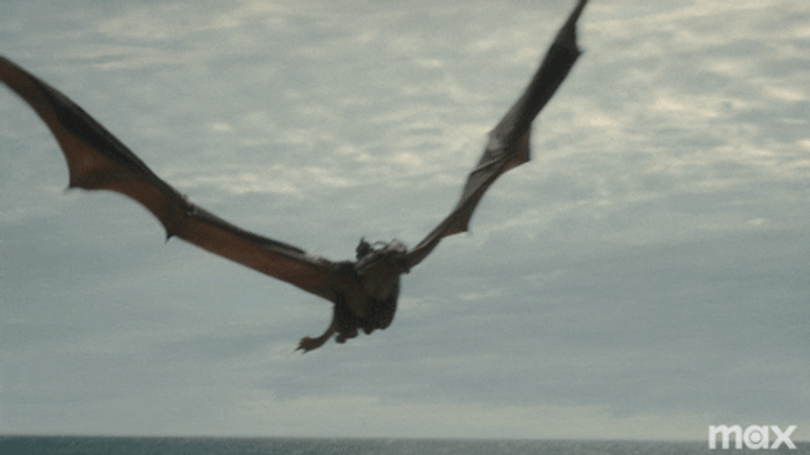 Flights Of Fancy Vhagar Dragon GIF