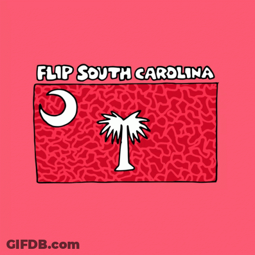 Flip South Carolina Flag Palm Tree Moon GIF