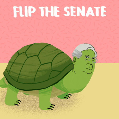 Flip The Senate Mitch Mcconnell Turtle GIF