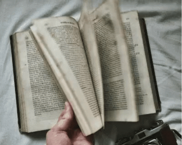 Flipbook Old Pages Flipping GIF