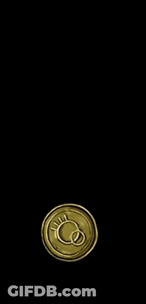 Flipping Coin GIF