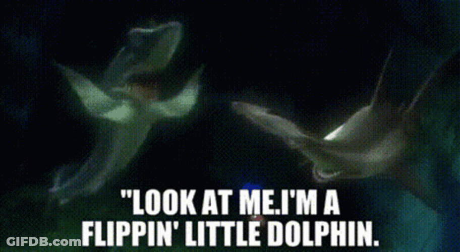 Flipping Little Dolphin GIF