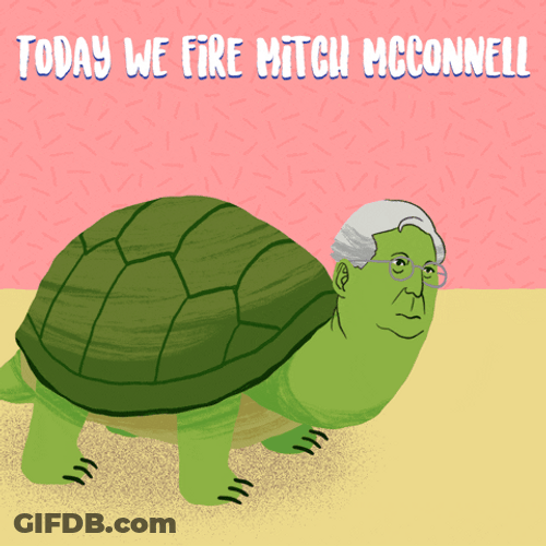 Flipping Mitch Mcconnell Turtle GIF