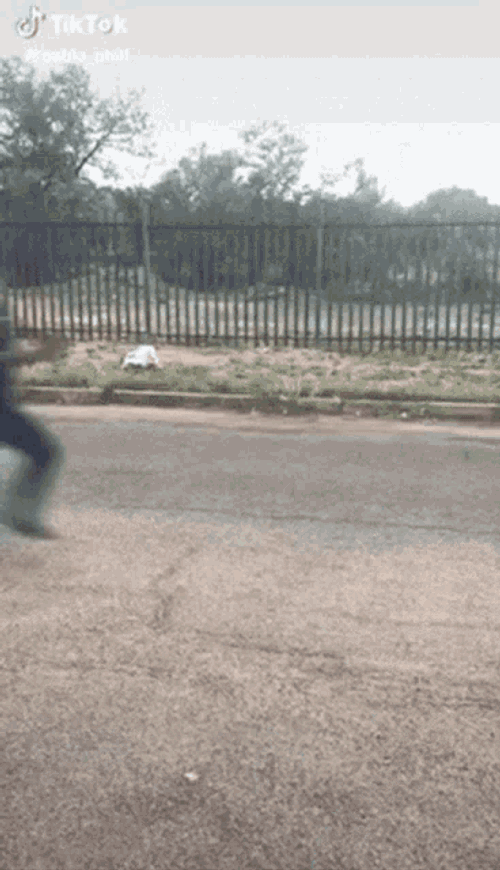Flipping Off Flip Off Teich GIF