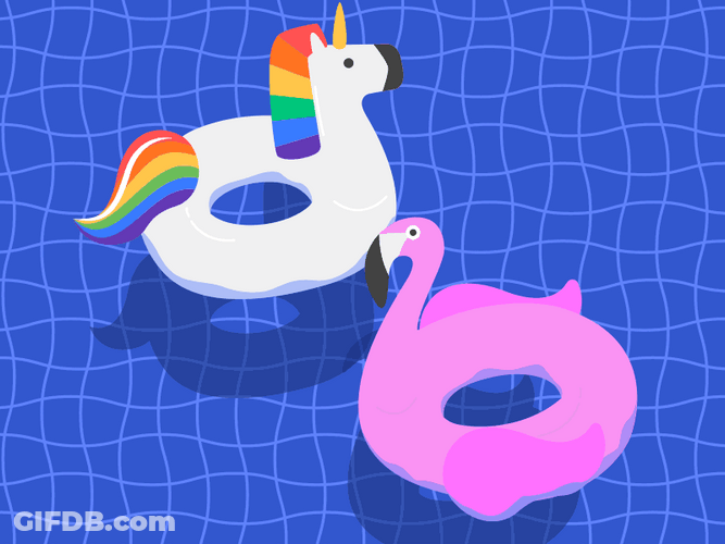 Floaties Floating On The Pool GIF