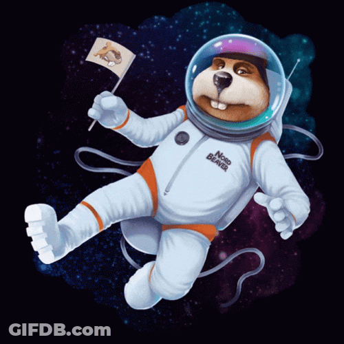 Floating Beaver In Space Suit GIF