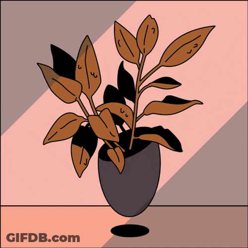 Floating Brown Plant Animation GIF