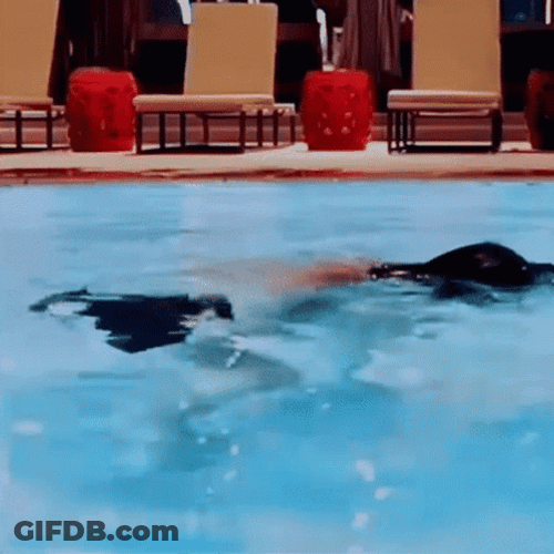 Floating GIF