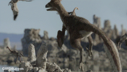 Flock Of Birds Flying Around Running Dinosaur GIF